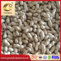 Export High Quality Peanut Kernels with Healthy Value